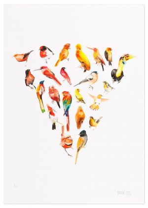 Colour Wheel Orange - No.1 Collection