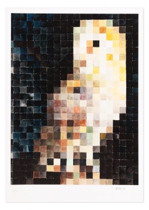 Pixelated Barn Owl - No.1 Collection