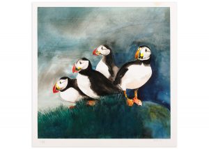 Puffins - No.1 Collection