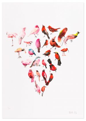 Colour Wheel Red - No.1 Collection