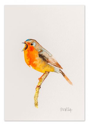 Robin 10