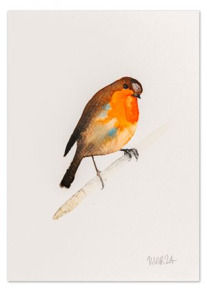 Robin 12