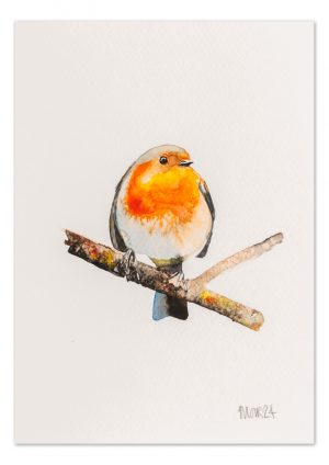 Robin 2