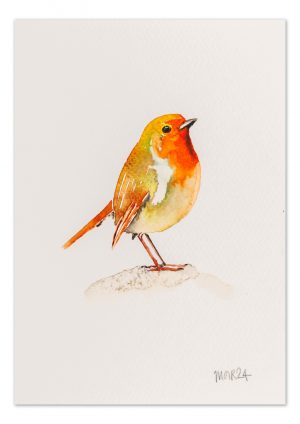 Robin 3