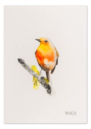 Robin 7