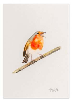 Robin 8