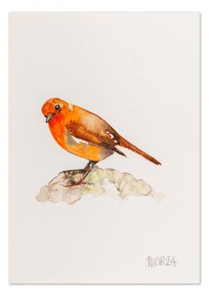 Robin 9