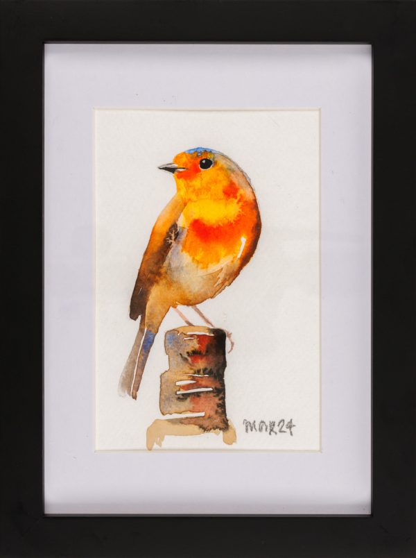 Framed Robin 1