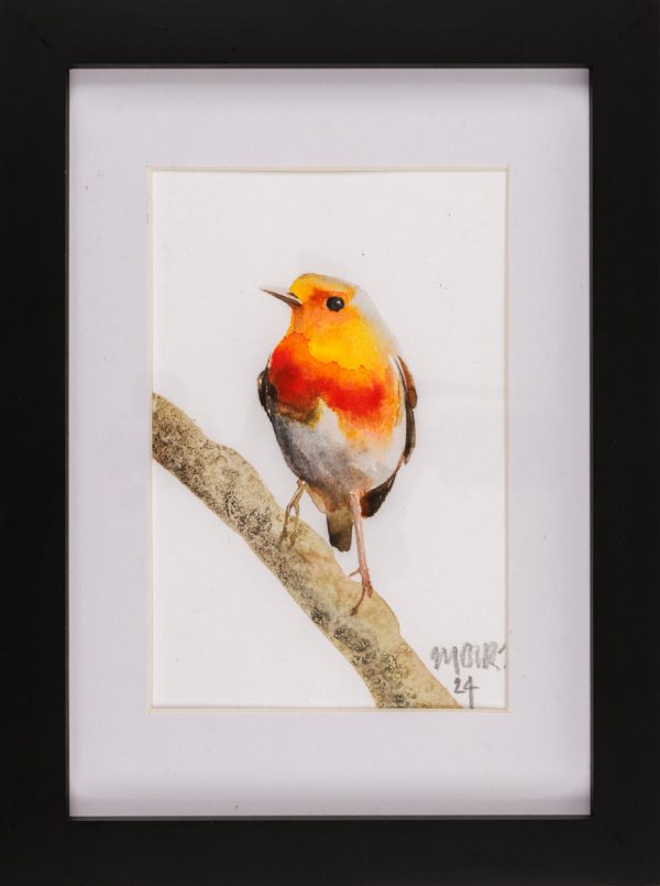 Framed Robin 2