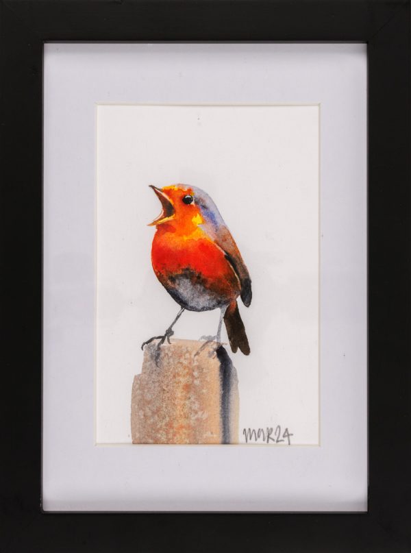 Framed Robin 3