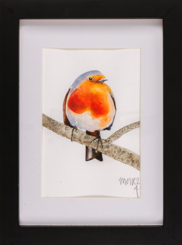 Framed Robin 4