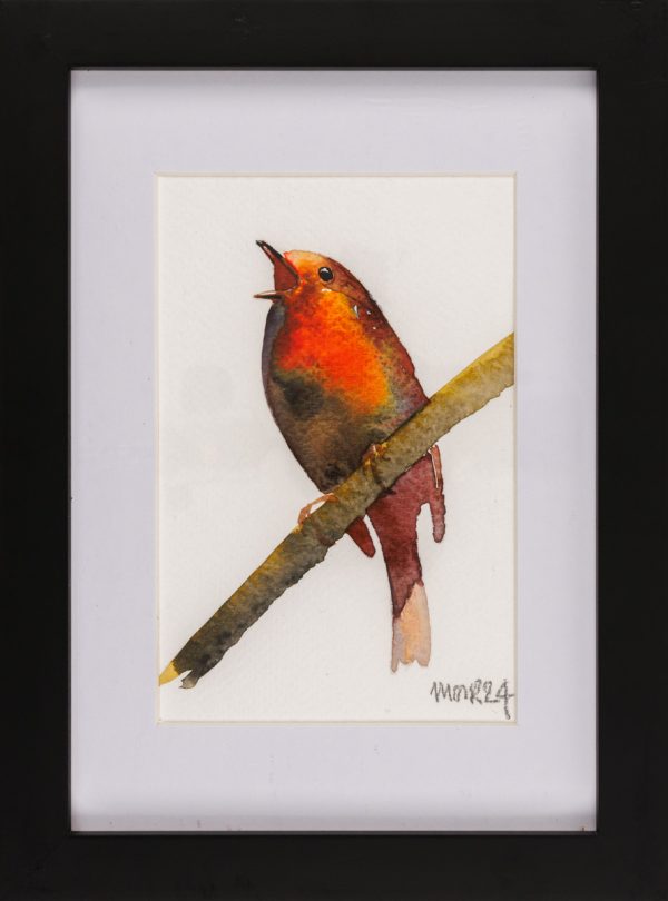 Framed Robin 5