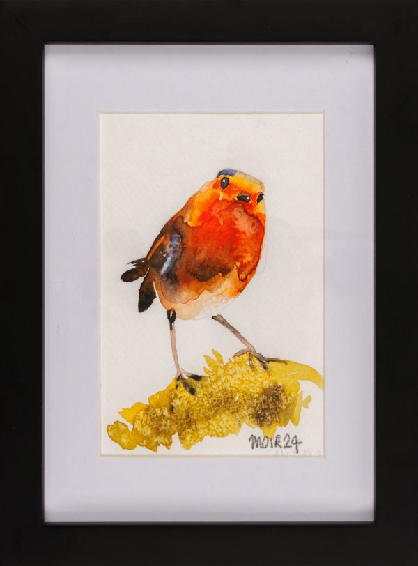 Framed Robin 6