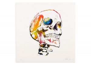 Skeleton Skull 2 - No.1 Collection