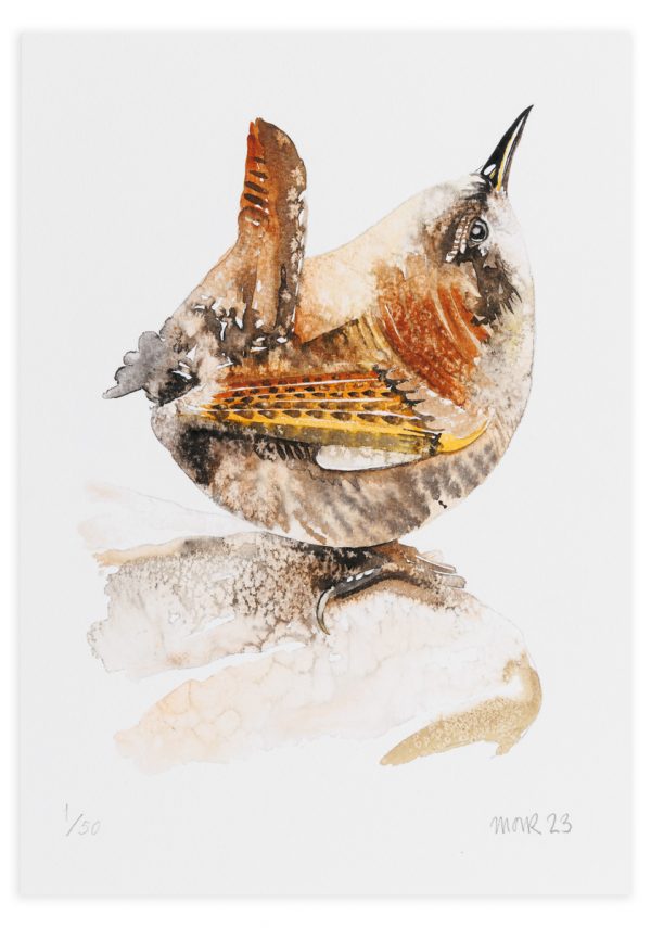 Wren 2023 - No.1 Collection