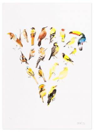 Colour Wheel Yellow - No.1 Collection