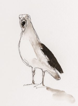12 Ink Gulls