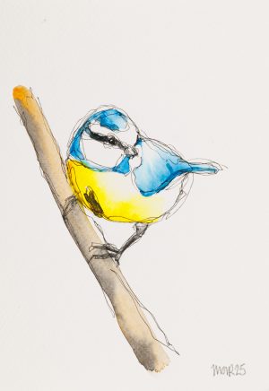 Bluetits