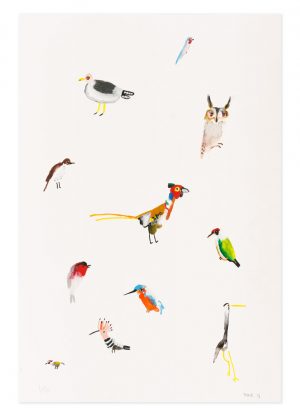 Flock of Birds - No.1 Collection