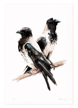 Two Hooded Crows - No.1 Collection