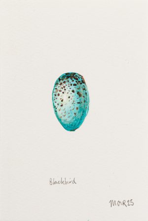 Blackbird Egg