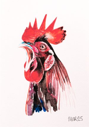 Cockerel 5