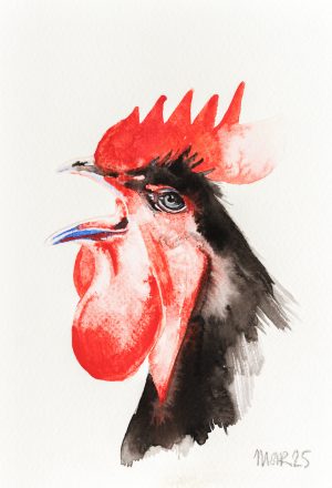 Cockerel 2