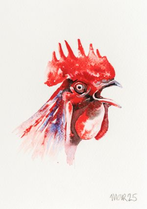 Cockerel 3