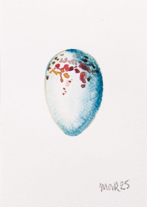 Greenfinch Egg