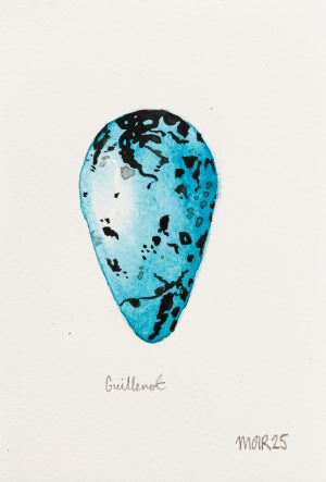 Guillemot Egg