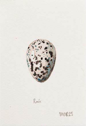 Rook Egg