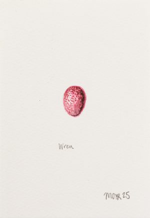 Wren Egg