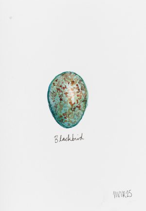 Blackbird Egg