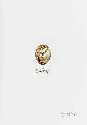 Blackcap Egg