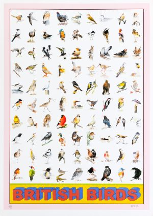 British Birds - Standard Edition