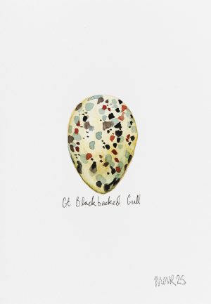 Great black-backed Gull Egg