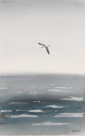 Gannet North Sea