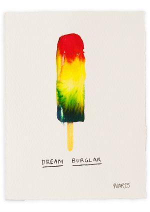 Dream Burglar