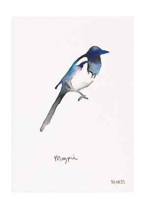 Magpie