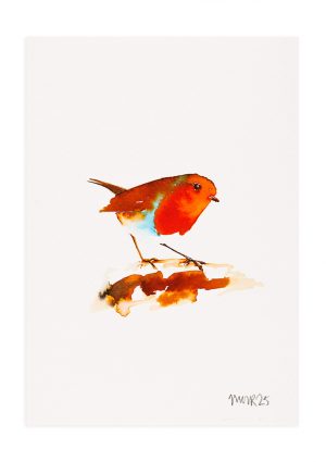 Robin 3