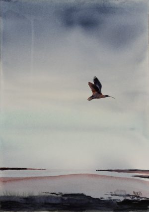 Curlew over the Estuary 2