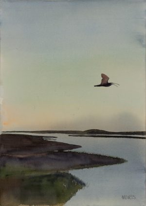Curlew over the Estuary 3