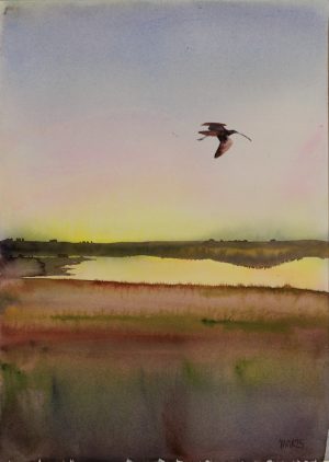 Curlew over the Estuary 4
