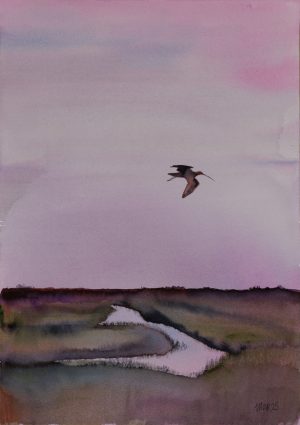 Curlew over the Estuary 5