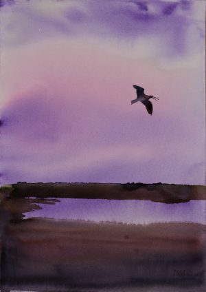 Curlew over the Estuary 6