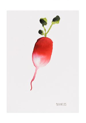 Radish 11