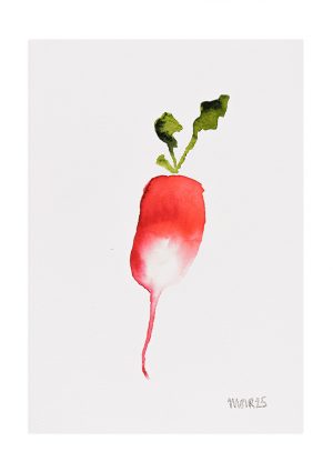 Christmas Radish 12