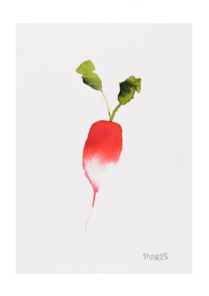 Radish 1