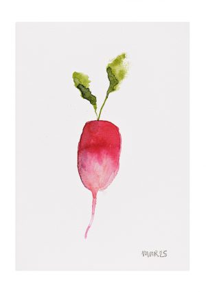 Christmas Radish 2