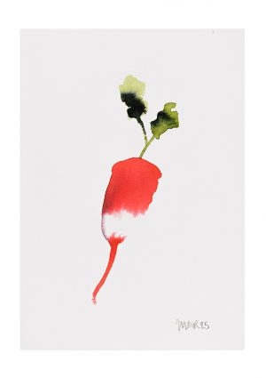 Radish 3